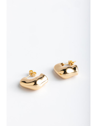 Earrings Gold Plated Stainless Steel