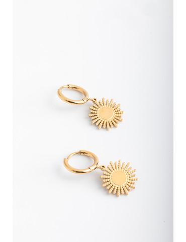 Earrings Gold Plated Stainless Steel