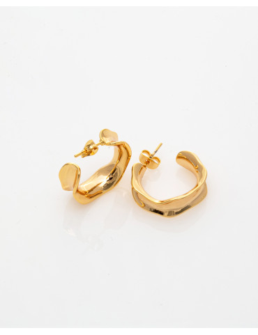 Earrings Gold Plated Stainless Steel 